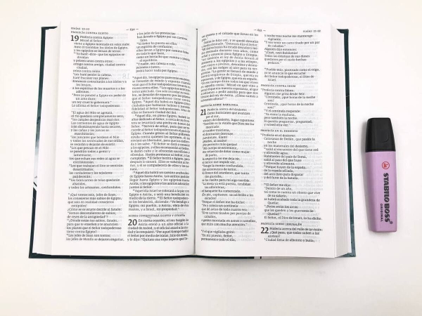 Dieu parle aujourd’hui, la bible. verte